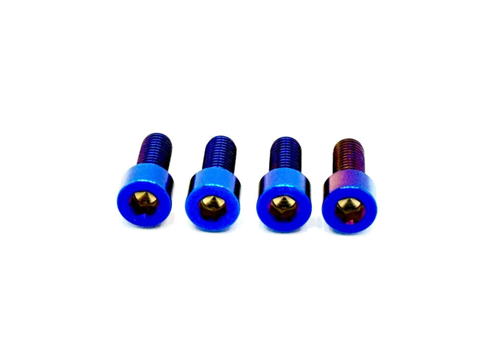 Titanium Surron Titanium Bash Guard/ Skid Plate Bolts - Surron LBX and Segway (Set of 4) Bash Guard Titanium Bolts
