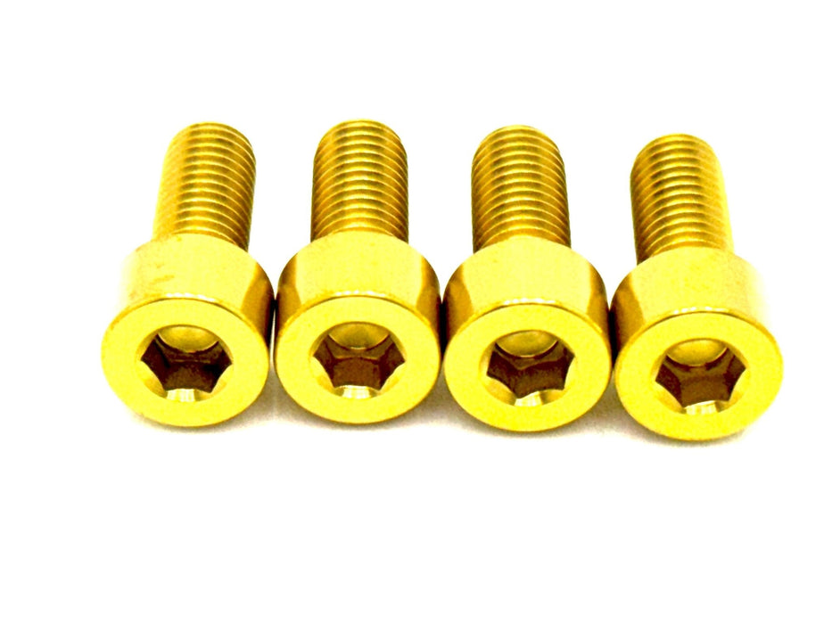 Titanium Surron Titanium Bash Guard/ Skid Plate Bolts - Surron LBX and Segway (Set of 4) Gold Bash Guard Titanium Bolts