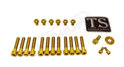 Titanium Bolt Kit for Sirris F43 Fork (22 Pieces) - Gold - Titanium Bolts