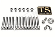 Titanium Bolt Kit for Sirris F43 Fork (22 Pieces) - Silver (raw) - Titanium Bolts