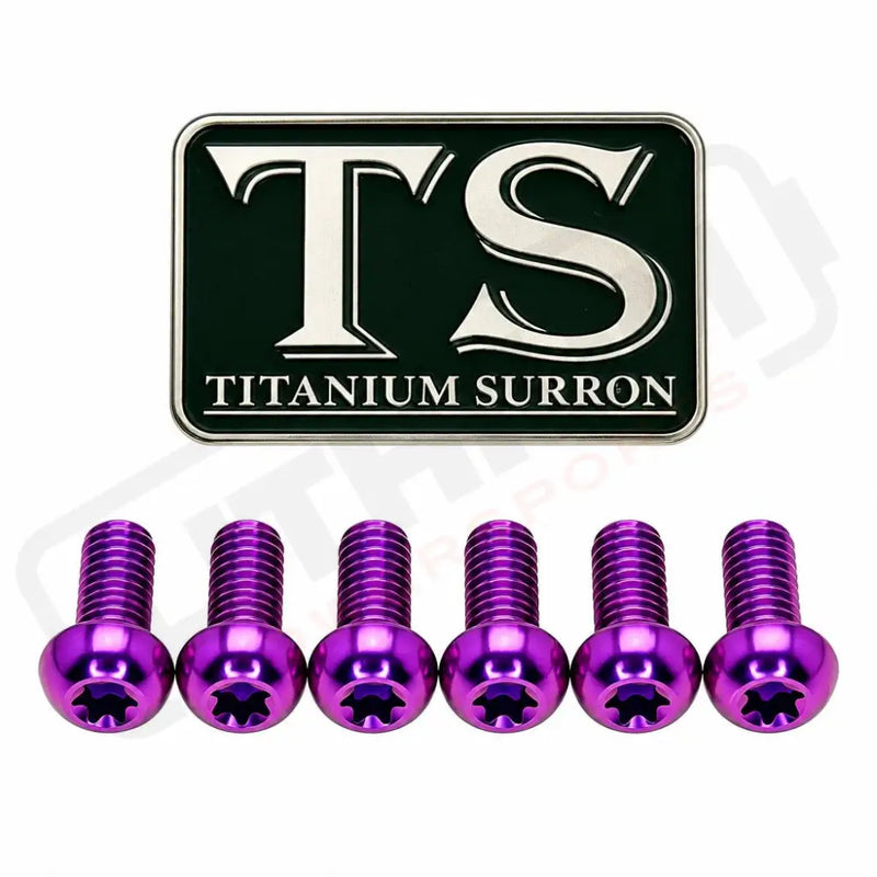 Titanium Bolts for Fork Plastics/ Guards (Most Forks) - Purple / FastAce - KKE (OEM LBX) - RFloXa - Altis Sigma (OEM)