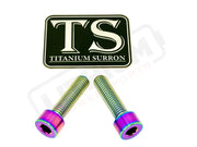 Titanium Caliper Bolts - Surron Ultra Bee Front Only - Rainbow - Titanium Bolts