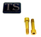 Titanium Surron Titanium Custom Triangle Bolts - Surron LBX Segway X260 Gold / Socket head bolt (OEM style with custom