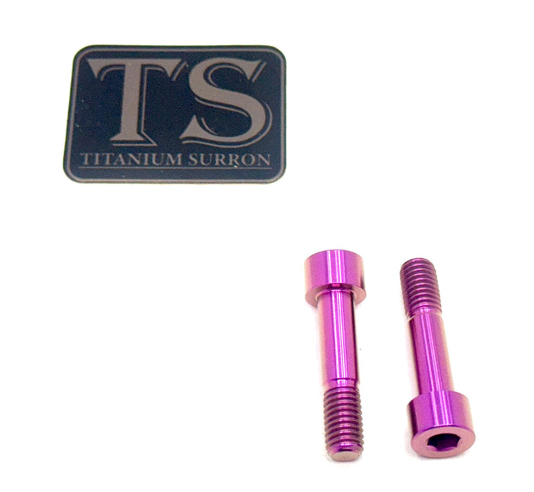 Titanium Surron Titanium Custom Triangle Bolts - Surron LBX Segway X260 Purple / Socket head bolt (OEM style with