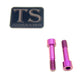 Titanium Surron Titanium Custom Triangle Bolts - Surron LBX Segway X260 Purple / Socket head bolt (OEM style with