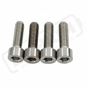 Titanium E-Moto Brake Handle-Mount Bolts Surron LBX and most e-moto (see list) / Two Brakes (4 bolts) / Silver (raw)