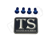 Titanium E-Moto Headlight Mount Bolts - Blue / Headlight Bracket (4 Bolts) - Titanium Bolts