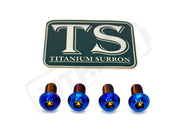 Titanium E-Moto Headlight Mount Bolts - Burnt Blue / Headlight Bracket (4 Bolts) - Titanium Hardware