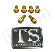 Titanium E-Moto Headlight Mount Bolts Gold / Complete Set (6 Bolts) Headlight Bolts