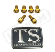 Titanium E-Moto Headlight Mount Bolts - Gold / Complete Set (6 Bolts) - Titanium Bolts