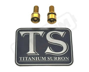 Titanium E-Moto Headlight Mount Bolts - Gold / Headlight Swivel Only (2 Bolts) - Titanium Bolts