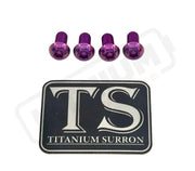 Titanium E-Moto Headlight Mount Bolts - Purple / Headlight Bracket (4 Bolts) - Titanium Bolts