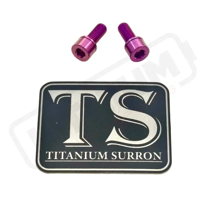 Titanium E-Moto Headlight Mount Bolts - Purple / Headlight Swivel Only (2 Bolts) - Titanium Bolts