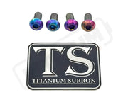 Titanium E-Moto Headlight Mount Bolts - Rainbow / Headlight Bracket (4 Bolts) - Titanium Bolts