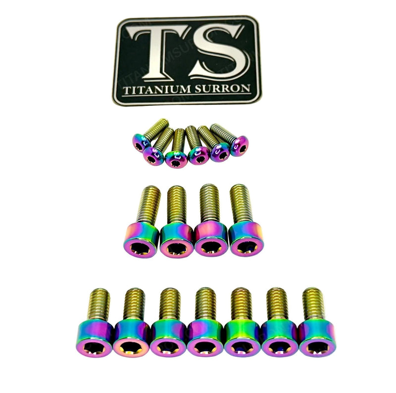 TS Titanium EXT Ferro Fork 11/17 Piece Bolt Kits