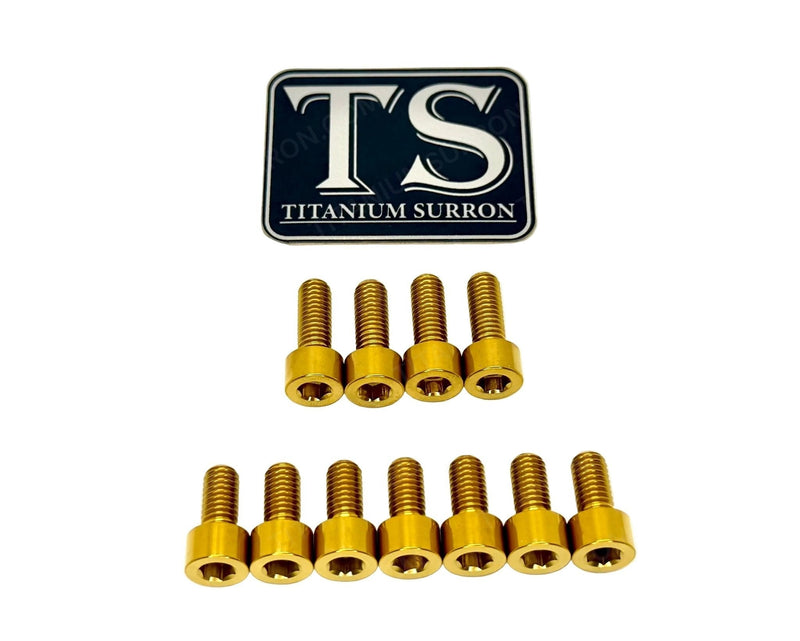 TS Titanium EXT Ferro Fork 11/17 Piece Bolt Kits
