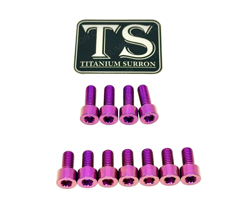 TS Titanium EXT Ferro Fork 11/17 Piece Bolt Kits