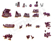 Titanium Full Body Kit - Surron Ultra Bee - Purple / Body Kit Only -- Excluding Fork Kit (113 pcs) - Titanium Bolts