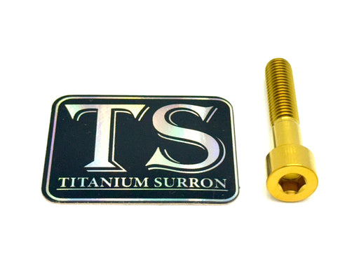 Titanium Surron Titanium Hardware (Individual M8 Bolts) Gold / 81mm (71mm shoulder/ 10mm threads) Titanium Hardware M8