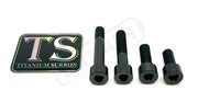 Titanium Motor Bolts - E-Ride Pro ERP SS and S - Black / Pro SS 2.0 - Titanium Bolts