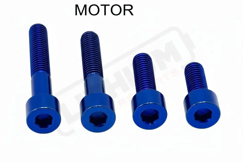 Titanium Motor Bolts - E-Ride Pro ERP SS and S - Blue / Pro SS 2.0 - Titanium Bolts