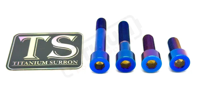 Titanium Motor Bolts - E-Ride Pro ERP SS and S - Burnt Blue / Pro SS 2.0 - Titanium Bolts