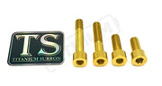 Titanium Motor Bolts - E-Ride Pro ERP SS and S - Gold / Pro SS 2.0 - Titanium Bolts