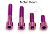Titanium Motor Bolts - E-Ride Pro ERP SS and S - Purple / Pro SS 2.0 - Titanium Bolts