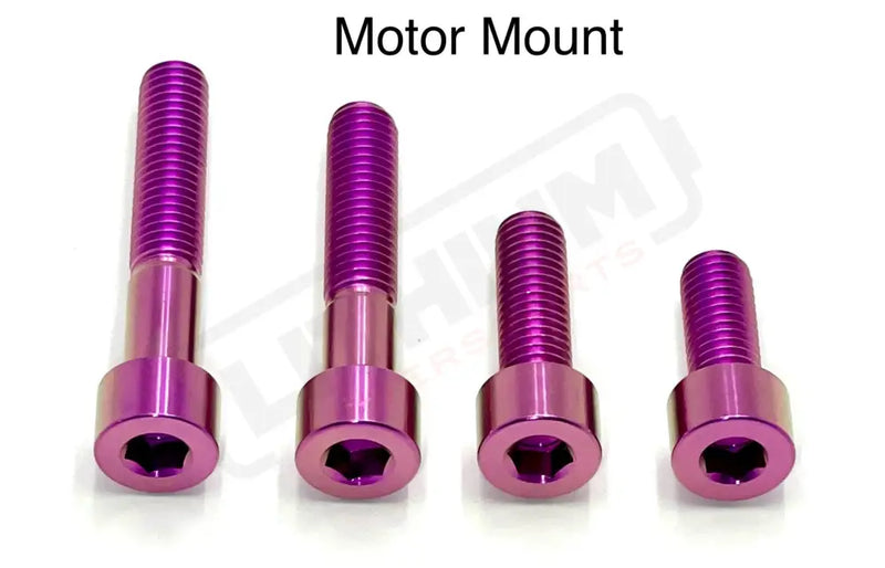 Titanium Motor Bolts - E-Ride Pro ERP SS and S - Purple / Pro SS 2.0 - Titanium Bolts