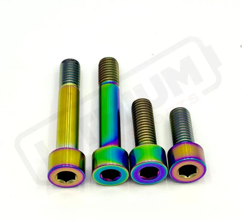 Titanium Motor Bolts - E-Ride Pro ERP SS and S - Rainbow / Pro SS 2.0 - Titanium Bolts