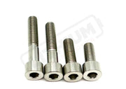 Titanium Motor Bolts - E-Ride Pro ERP SS and S - Raw Titanium / Pro SS 2.0 - Titanium Bolts