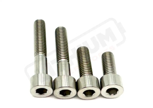 Titanium Motor Bolts - E-Ride Pro ERP SS and S - Raw Titanium / Pro SS 2.0 - Titanium Bolts