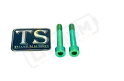 Titanium Motor Bolts - Rerode R1 - Green - Titanium Bolts