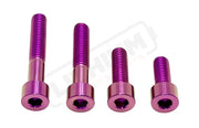 Titanium Motor Bolts - Surron LBX - Purple - Titanium Bolts