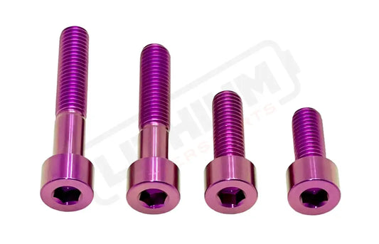 Titanium Motor Bolts - Surron LBX - Purple - Titanium Bolts