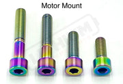 Titanium Motor Bolts - Surron LBX - Lithium Powersports