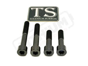 Titanium Motor Bolts - Surron Ultra Bee - Black - Titanium Bolts