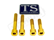 Titanium Motor Bolts - Surron Ultra Bee - Gold - Titanium Bolts
