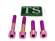 Titanium Motor Bolts - Surron Ultra Bee - Purple - Titanium Bolts