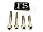 Titanium Motor Bolts - Surron Ultra Bee - Silver (raw) - Titanium Bolts