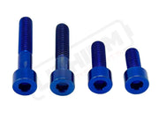 Titanium Motor Bolts - Talaria XXX - Blue - Titanium Bolts