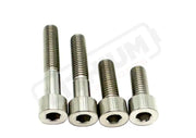Titanium Motor Bolts - Talaria XXX - Silver (raw) - Titanium Bolts