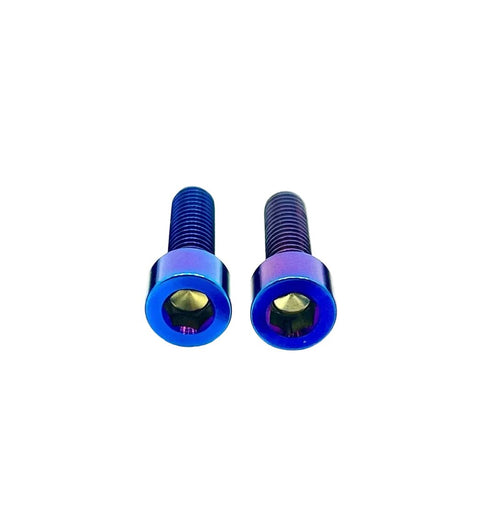 Titanium Motor Cover Bolts (Set of Two) Surron, Segway, 79 Bike, ERP - Lithium Powersports