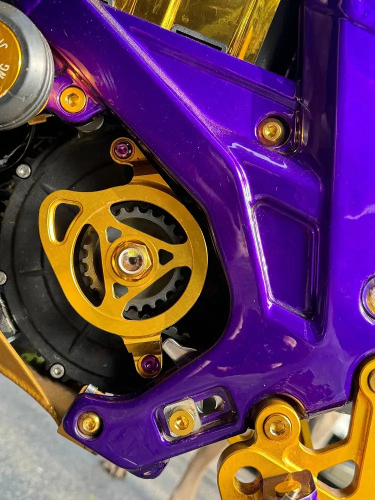 Titanium Motor Cover Bolts (Set of Two) Surron, Segway, 79 Bike, ERP - Lithium Powersports