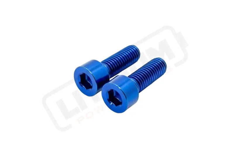 Titanium Motor Cover Bolts (Set of Two) Surron Segway 79 Bike ERP - Blue / 2.: Prickly motor cover - Titanium Bolts