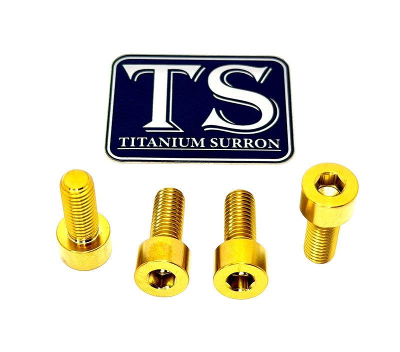 Titanium Peg Bracket Bolts - Surron, Talaria, E-Ride (Set of 4)