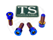 Titanium Peg Bracket Bolts - Surron Talaria E-Ride (Set of 4) - Burnt Blue / LBX--E-Ride Pro--Rerode--79Bike--Segway