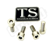 Titanium Peg Bracket Bolts - Surron Talaria E-Ride (Set of 4) - Silver (raw) / LBX--E-Ride Pro--Rerode--79Bike--Segway