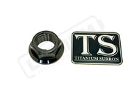 Titanium Rear Axle Nut - E-Moto - Black / M20 - Altis Sigma 2026 - Titanium Bolts