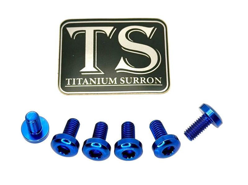 Titanium Rear Rotor Bolts - E-moto